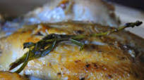 Cornish game hen (Poussins) with tarragon Cornish game hen (Poussins) with tarragon