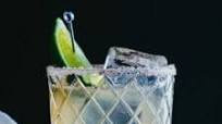 Agave Margarita Agave Margarita