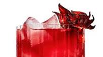John's Hibiscus Margarita John's Hibiscus Margarita