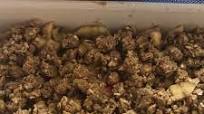 Flourless Apple Crumble Flourless Apple Crumble