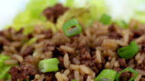 Slow Cooker Honey Garlic Pork Slow Cooker Honey Garlic Pork