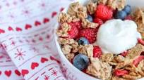 Mixed Berry Greek Yogurt Bowl Mixed Berry Greek Yogurt Bowl