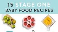 15 Stage One Baby Food Purees 15 Stage One Baby Food Purees