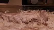 Vern's Roasted Pork Loin Over Sauerkraut Vern's Roasted Pork Loin Over Sauerkraut