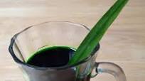 Pandan Juice and Pandan Extract: Recipes From Fresh or Frozen Pandan Juice and Pandan Extract: Recipes From Fresh or Frozen