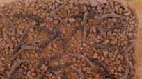 Halloween Dirt Cake Recipe Halloween Dirt Cake Recipe
