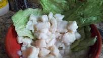 Marinated Raw Fish in Coconut Cream ( Samoan Dish ) Marinated Raw Fish in Coconut Cream ( Samoan Dish )