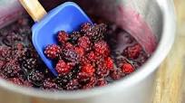 Blackberry Syrup Recipe Blackberry Syrup Recipe