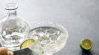 Agave Margarita Recipe Agave Margarita Recipe