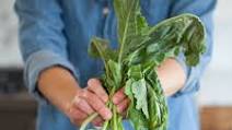 How To Cut Up Kohlrabi How To Cut Up Kohlrabi