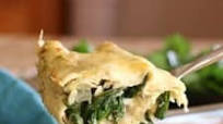 Spinach & Artichoke Enchiladas Spinach & Artichoke Enchiladas