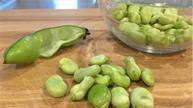 Fava Bean Puree Fava Bean Puree