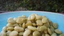 Easy Lima Beans Easy Lima Beans
