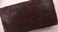 Delicious And Moist Chocolate Sponge Cake Recipe by Tasty Delicious And Moist Chocolate Sponge Cake Recipe by Tasty