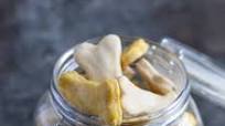 Simple Dog Biscuits Simple Dog Biscuits