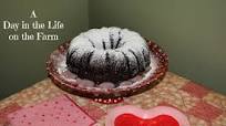 Heart Healthy Chocolate Pumpkin Bundt Cake Heart Healthy Chocolate Pumpkin Bundt Cake