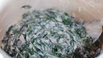 Creamed Spinach Creamed Spinach