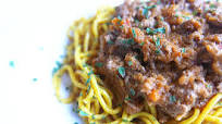 Bolognese in Japan Bolognese in Japan