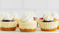 Mini Cheesecakes Mini Cheesecakes