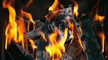 Best Wood For Smoking Pork Shoulder Best Wood For Smoking Pork Shoulder