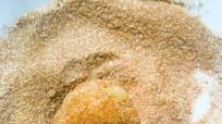 Lectin Free Snickerdoodle Cookies Lectin Free Snickerdoodle Cookies