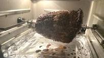 Air Fryer Roast Beef (Instant Pot Vortex and Omni) Air Fryer Roast Beef (Instant Pot Vortex and Omni)