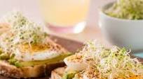 Pan Tostado con Aguacate y Huevo Cocido Pan Tostado con Aguacate y Huevo Cocido