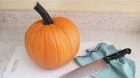 Homemade Pumpkin Puree Homemade Pumpkin Puree