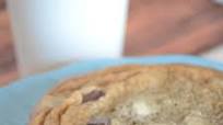 Starbucks Chocolate Chunk Cookies Starbucks Chocolate Chunk Cookies
