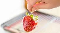 Candied Strawberries Candied Strawberries