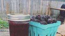 Instant Pot Blackberry Jam Instant Pot Blackberry Jam