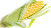 Corn Flour Chegodilu | మొక్కజొన్న పిండి తో క్రిస్పీ చెగోడిలు Corn Flour Chegodilu | మొక్కజొన్న పిండి తో క్రిస్పీ చెగోడిలు
