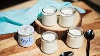 Oui Vanilla French Yogurt Copycat Recipe Oui Vanilla French Yogurt Copycat Recipe