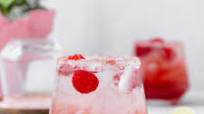 Hibiscus Raspberry Margarita Hibiscus Raspberry Margarita
