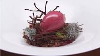 Chocolate Forest Floor Chocolate Forest Floor