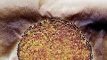 The BEST Cauliflower Pizza Crust (no cheese, no oil) The BEST Cauliflower Pizza Crust (no cheese, no oil)