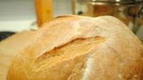 Sourdough Tomato Amish Friendship Bread Sourdough Tomato Amish Friendship Bread