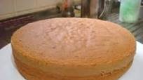 Homemade Sponge Cake Homemade Sponge Cake