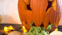 Puking Pumpkins Puking Pumpkins