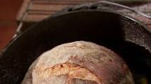 Knead Not Sourdough Knead Not Sourdough