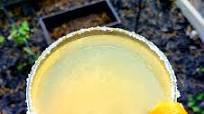 Orange and Lime Margarita Orange and Lime Margarita