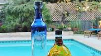 Agave Fog Agave Fog
