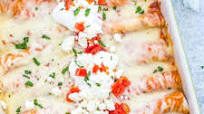 Chicken Enchiladas Chicken Enchiladas
