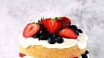 Vanilla Cake - Gluten Free, Vegan, Refined Sugar Free Vanilla Cake - Gluten Free, Vegan, Refined Sugar Free