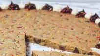 Chocolate Chip Cookie Cake Chocolate Chip Cookie Cake