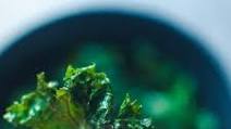 Air Fryer Kale Chips Air Fryer Kale Chips