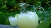 Limonada, lemonade or limeade Limonada, lemonade or limeade