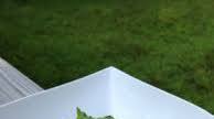 Vegan Caesar Dressing Vegan Caesar Dressing