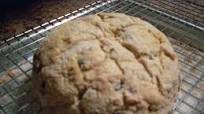 Gluten-Free, Dairy Free Irish Soda Bread Gluten-Free, Dairy Free Irish Soda Bread