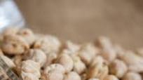 Chickpea Breadcrumbs (Air Fryer Recipe!) Chickpea Breadcrumbs (Air Fryer Recipe!)